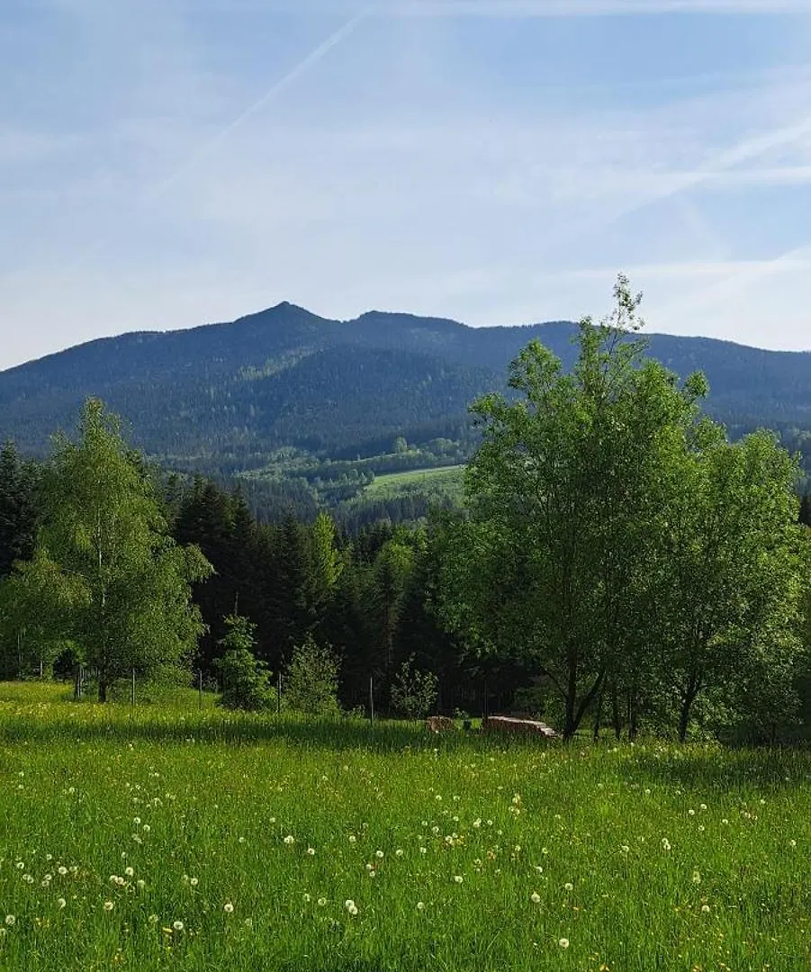 Osserapartment Schwarzenbach